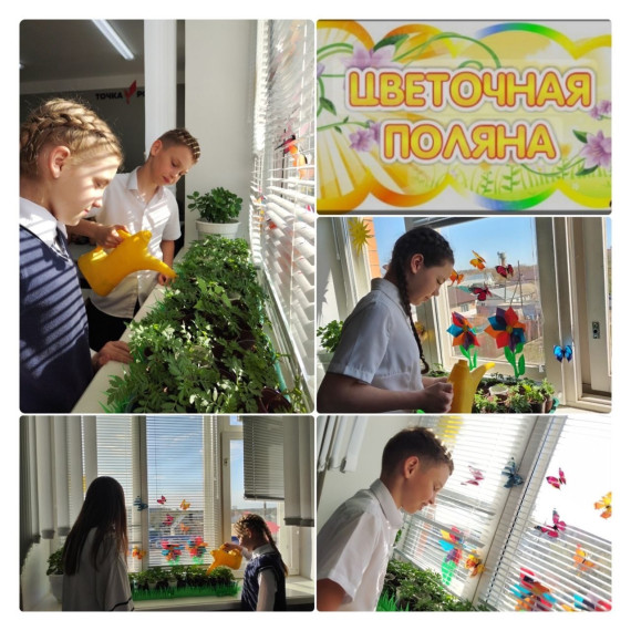 Цветочная поляна.